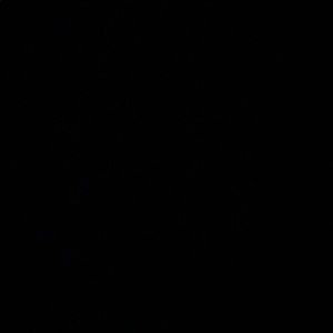 Meet your Posher, Diego